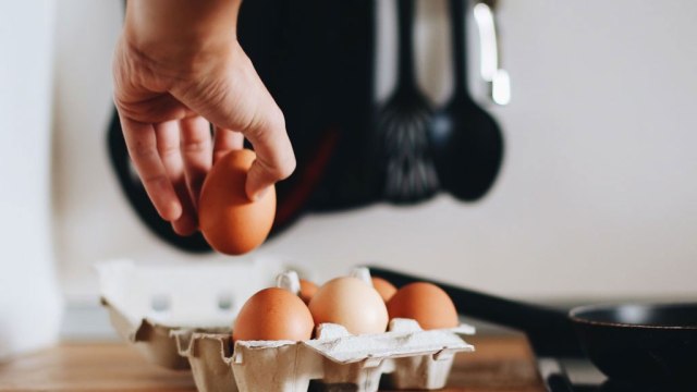 鸡蛋FDA食品注册_带壳蛋和蛋制品美国FDA认证办理