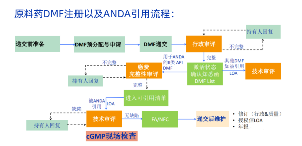 原料药美国DMF注册流程