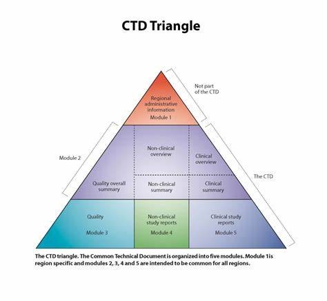 CTD