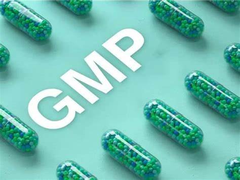 如何确保物料管理符合GMP要求？6大核心策略与实战指南
