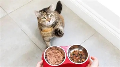猫粮上架美国亚马逊必须做FDA注册吗？